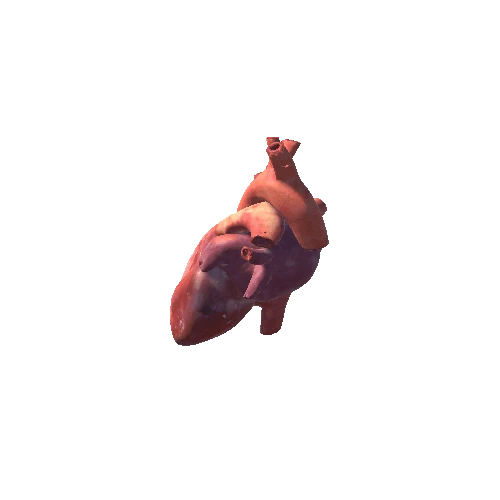 heart animated prefab
